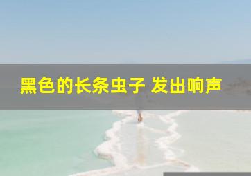 黑色的长条虫子 发出响声